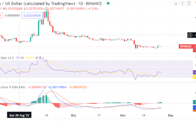 How bullish is RavenCoin after the Binance news?