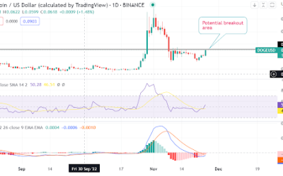 Dogecoin prediction as price defends key zone