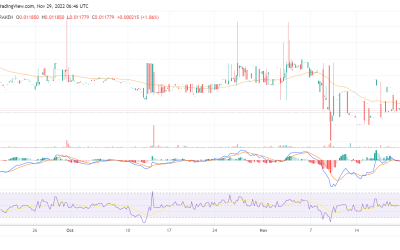 Will CELR rally higher following Celer Network’s new transaction milestone?