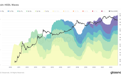 Bitcoin price bottom takes shape as ‘old coins’ hit a record 78% of supply