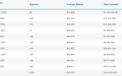 Nayib Bukele announces Bitcoin prescription for El Salvador: 1 BTC a day