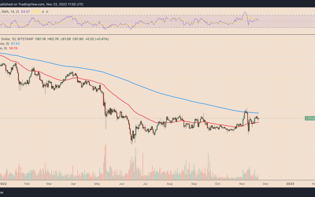 Litecoin hits fresh 2022 high versus Bitcoin — But will LTC price ‘halve’ before the halving?