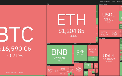 Price analysis 11/18: BTC, ETH, BNB, XRP, ADA, DOGE, MATIC, DOT, UNI, LTC