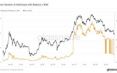 Bitcoin ‘millionaire’ wallets drop 80% in year of BTC price bear market