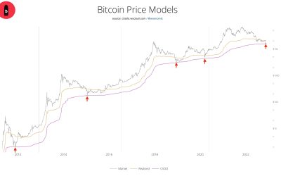 How low can the Bitcoin price go?