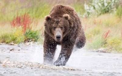 After More Than 380 Days, Crypto Supporters Celebrate Surviving the Second-Longest Bitcoin Bear Market
