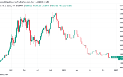 Elon Musk says BTC ‘will make it’ — 5 things to know in Bitcoin this week