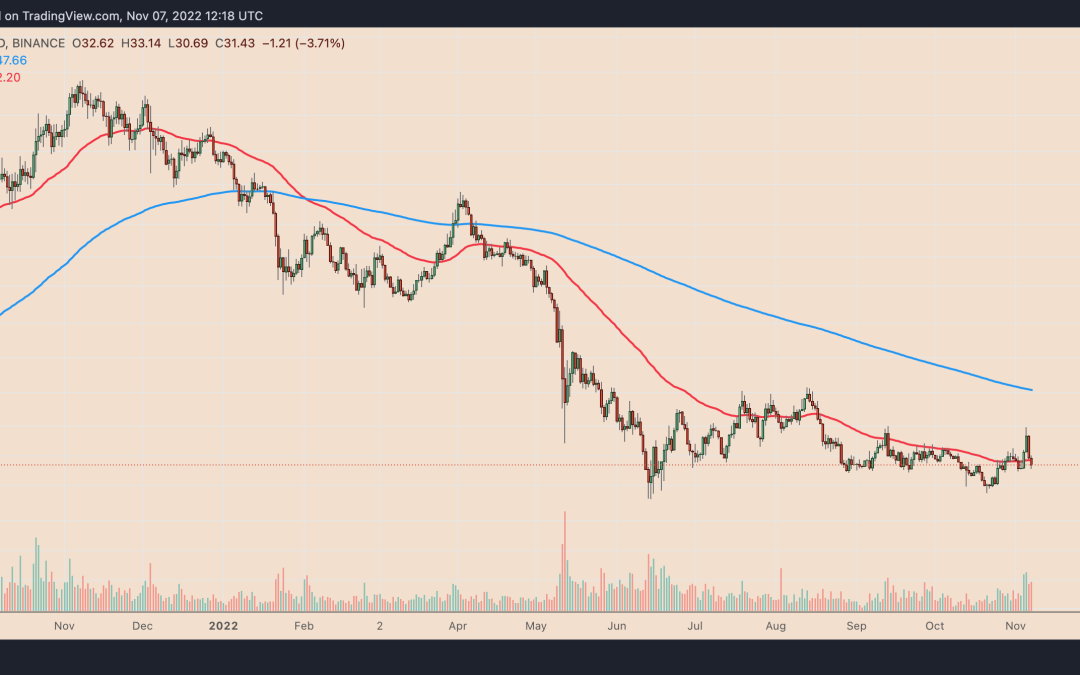 Solana erases its ‘Google rally’ gains, but a 50% SOL price recovery is still in play