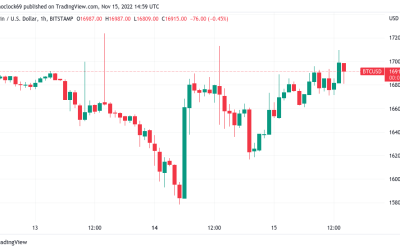 Bitcoin price hits $17K on US PPI as trader warns of ‘final capitulation’