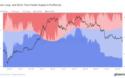 Hodlers in loss sit on 50% of BTC supply after $5.7K Bitcoin price dip