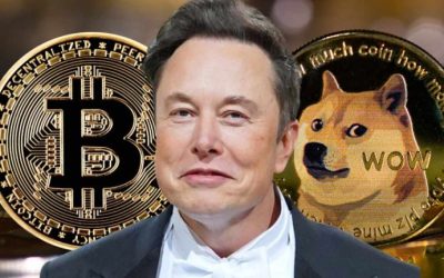 Elon Musk: Bitcoin Will Make It — Dogecoin to the Moon