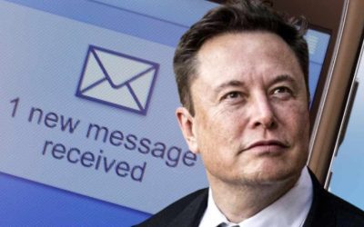 Elon Musk Confirms Bankman-Fried Owns 0% of Twitter Despite Reports Claiming a $100M Stake