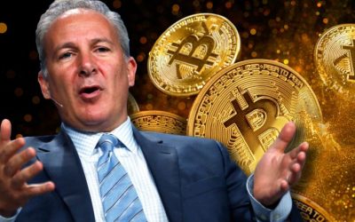 Gold Bug Peter Schiff Insists This Is ‘Not a Crypto Winter,’ Economist Says It’s More Like ‘Crypto Extinction’