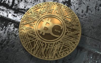 Biggest Movers: BCH Climbs to 1-Week High, DOT Declines