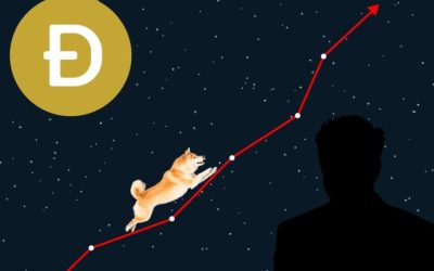 Biggest Movers: DOGE Surges Following Elon Musk Comments on the Meme Coin