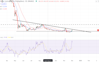 Fantom eyes a breakout. Is the token about to post sustainable gains?