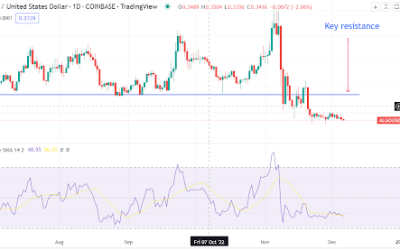 Algorand price fails to take off amid World Cup exploits. What next?