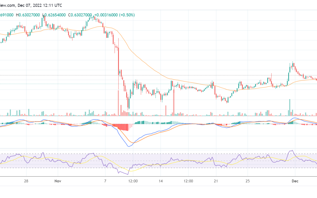 KNC dips by 7%, but Bitizen Wallet’s adoption could push it higher soon