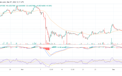 KNC dips by 7%, but Bitizen Wallet’s adoption could push it higher soon