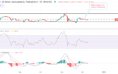 BNB to $266? Will a bitter exchange between Binance CEO and SBF hurt token further?