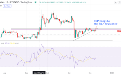 Crypto pundit thinks Ripple will lose against the SEC. Here is how XRP is behaving