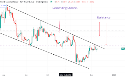 ApeCoin staking launches with a thud! Will bulls overcome relentless bears?