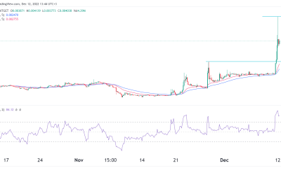 LEVER price is defying gravity as cryptocurrencies sink