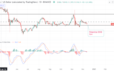 Will this “worrying” Binance’s proof of reserves crash BNB further?