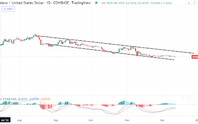 Cardano is bearish amid increases in activity. But this prediction sounds very bullish