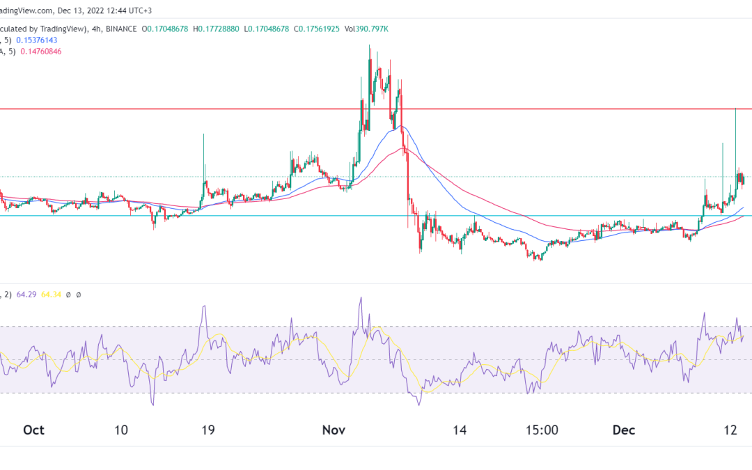 Top penny cryptos to watch in December