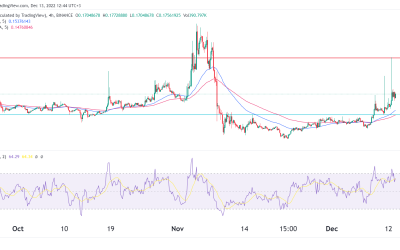 Top penny cryptos to watch in December