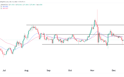 Binance Coin Price Prediction: A Mountain of Red Flags