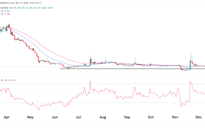 Is it safe to buy Bonfida (FIDA) today?