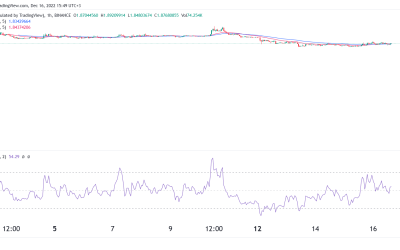 HOOK price defies gravity as Hooked Protocol activity rises