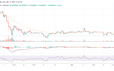 Shiba Inu leads the charge as the broader cryptocurrency market slowly recovers