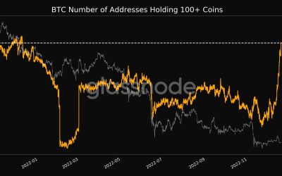 Bitcoin addresses with 100+ coins reach new one-year high