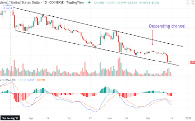 Cardano hits a new low despite another milestone