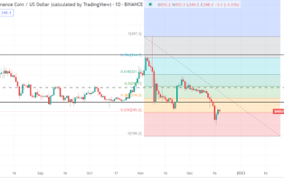 Binance coin stabilises, but this analyst thinks BNB is heading the LUNA way