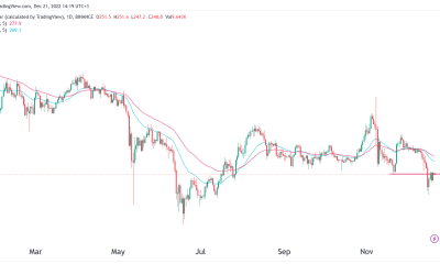 Binance Coin Price Prediction: Is All This Fear Warranted?