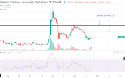 Will Dogecoin build on its intraday 6% surge to finish the year strong?