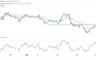 Is Lido a good crypto to buy as it defies gravity?