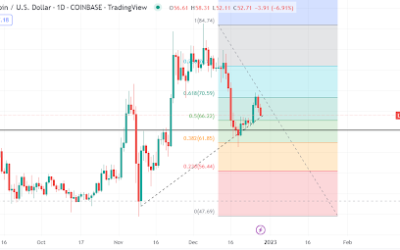 Litecoin rallies from a support zone as trading volumes rise