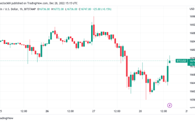 Bitcoin beats Tesla stock in 2022 as BTC price heads for 60% losses