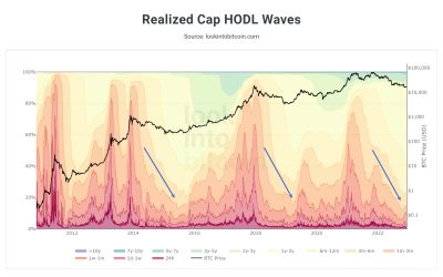 Bitcoin bear market 70% dip kills BTC ‘tourists’ as metric screams buy