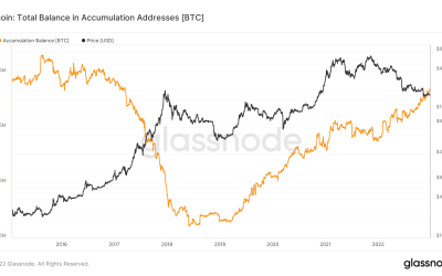 Bitcoin accumulation addresses near record 800K despite whale selling