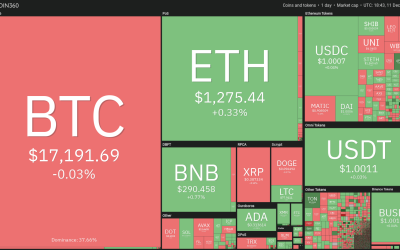 Bitcoin’s boring price action allows XMR, TON, TWT and AXS to gather strength