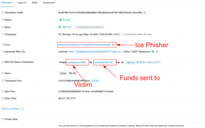 How to avoid getting hooked by crypto ‘ice phishing’ scammers — CertiK