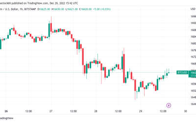 BTC price preserves $16.5K, but funding rates raise risk of new Bitcoin lows