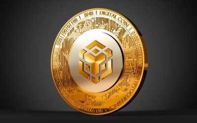 Amid Speculation and Rumors Surrounding Binance, Exchange Token BNB Suffers Losses From the Alleged FUD