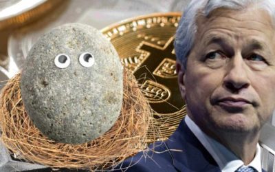 JPMorgan Chase CEO Jamie Dimon Likens Crypto to Pet Rocks — Calls for More Regulation